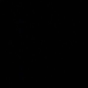 Meet your Posher, Estrella